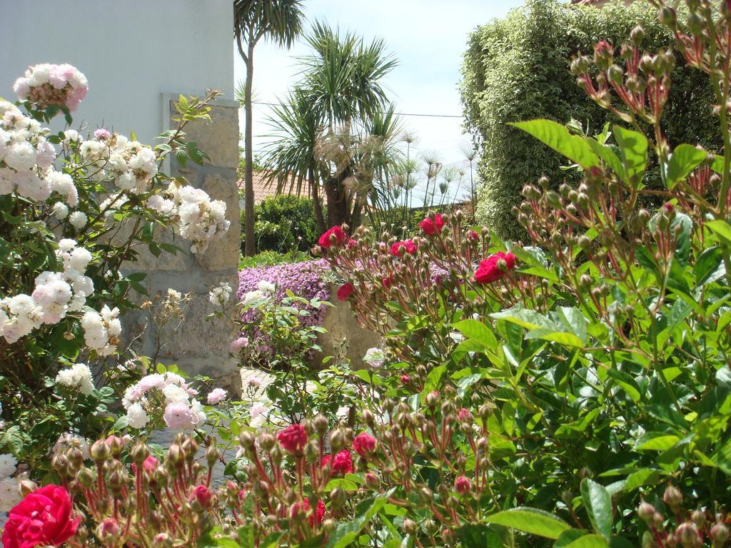 Casa De Hospedes Flor Do Jardim Малвейра Екстериор снимка